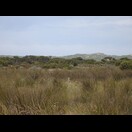  und Dünen in Richtung Meer